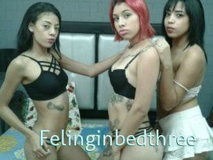 Felinginbedthree