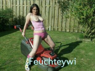 Feuchteywi