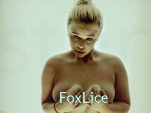 FoxLice