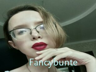 Fancybunte
