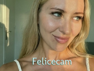 Felicecam