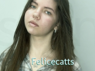 Felicecatts