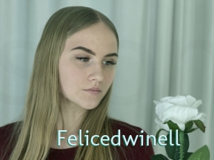 Felicedwinell