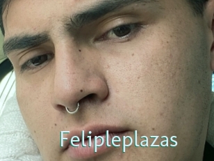 Felipleplazas