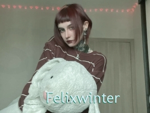 Felixwinter