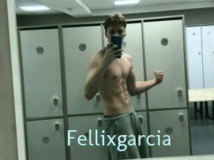 Fellixgarcia