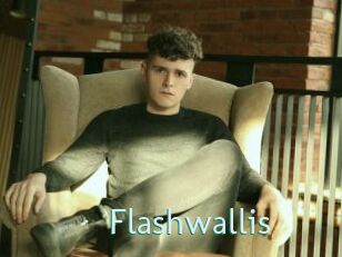 Flashwallis