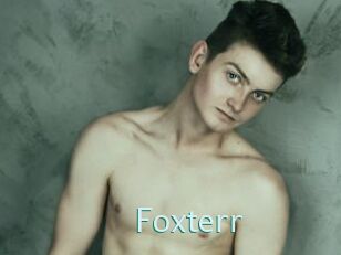 Foxterr