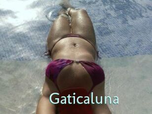 Gaticaluna