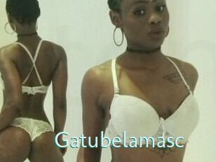 Gatubela_masc