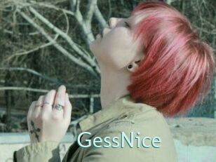 GessNice