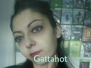 Gattahot