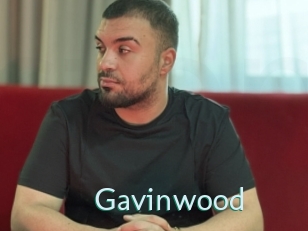 gavinwood Straponles