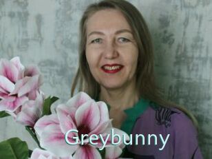 Greybunny