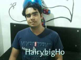 HairybigHo