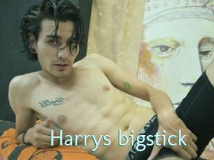 Harrys_bigstick