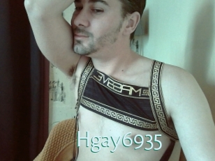 Hgay6935 Straponles