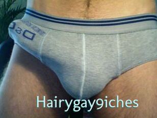 Hairygay9iches