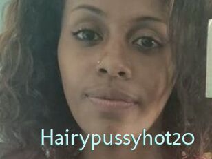 Hairypussyhot20