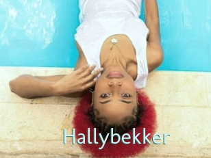 Hallybekker