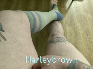 Harleybrown