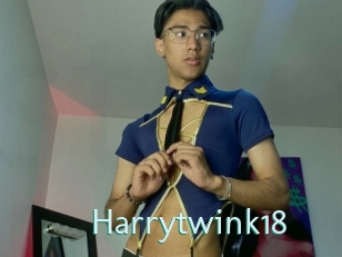 harrytwink18 Straponles