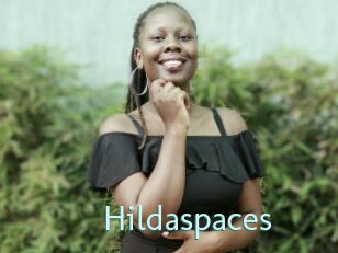Hildaspaces
