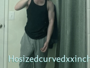 hosizedcurvedxxinch Straponles