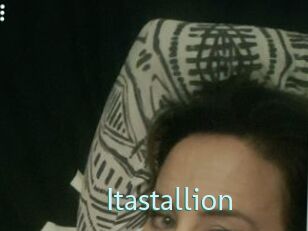 Itastallion