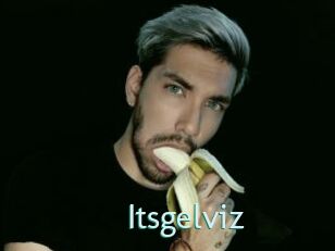 Itsgelviz