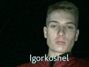 Igorkoshel