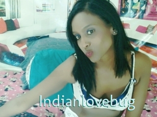 Indianlovebug