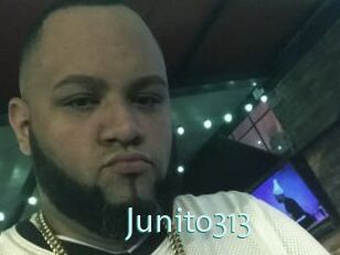 Junito313