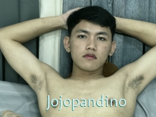 Jojopandino