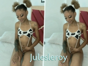 Julesleroy