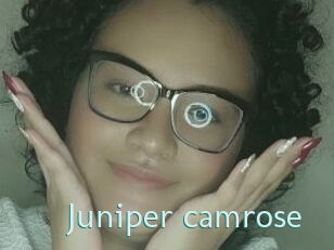 Juniper_camrose