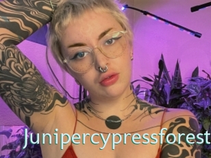 Junipercypressforest