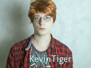 KevinTiger