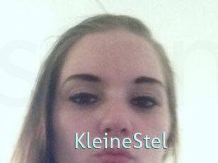 KleineStel