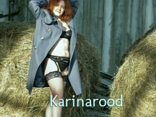 Karinarood