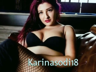Karinasodi18