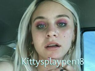 Kittysplaypen18