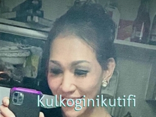 Kulkoginikutifi