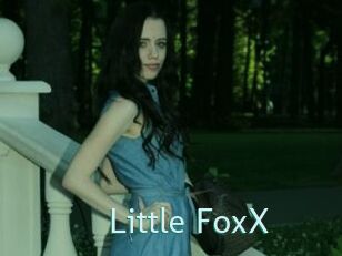 Little_FoxX