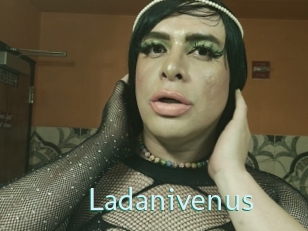 Ladanivenus