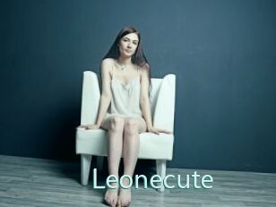 Leonecute