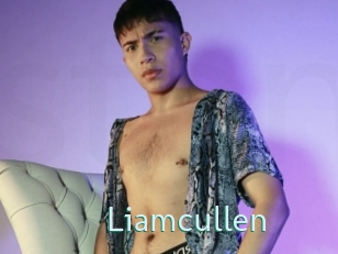 Liamcullen