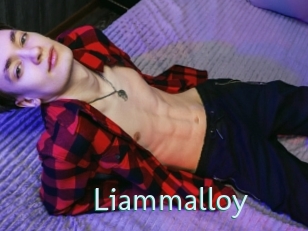 liammalloy Straponles