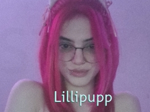 Lillipupp