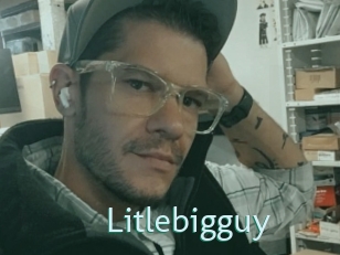 Litlebigguy